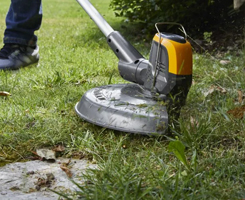 Strimmers Devon