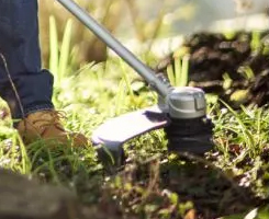 Strimmers Devon
