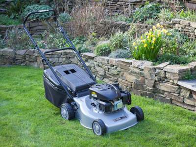 Lawn Mowers Devon