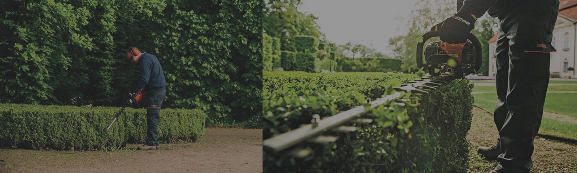 Hedge Trimmer Devon