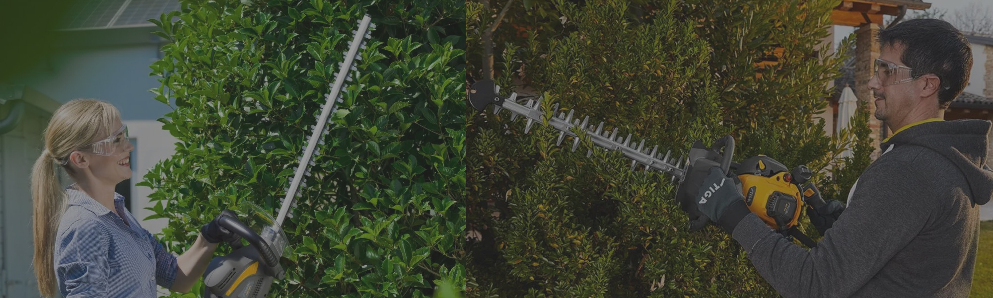 Hedge Trimmer Devon