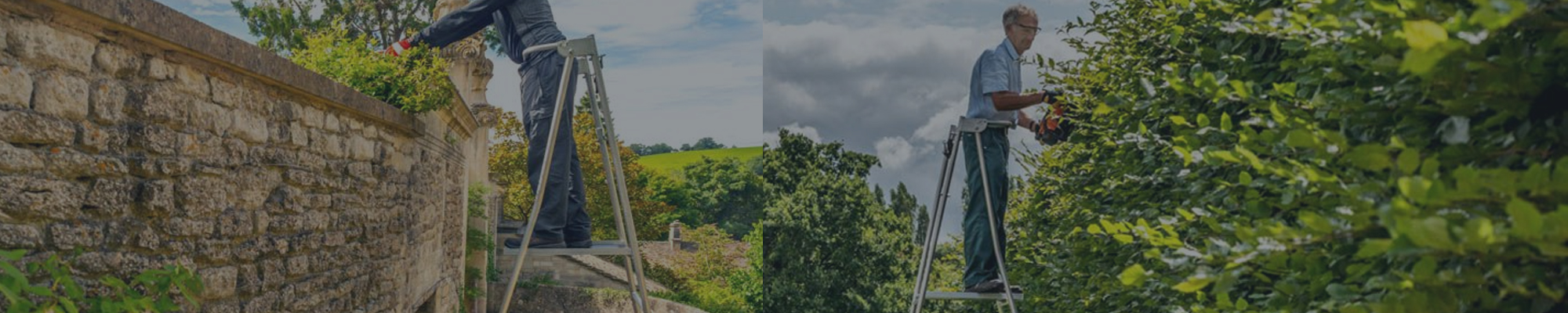 Garden Ladders Devon