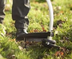 Strimmers Devon