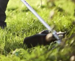 Strimmers Devon